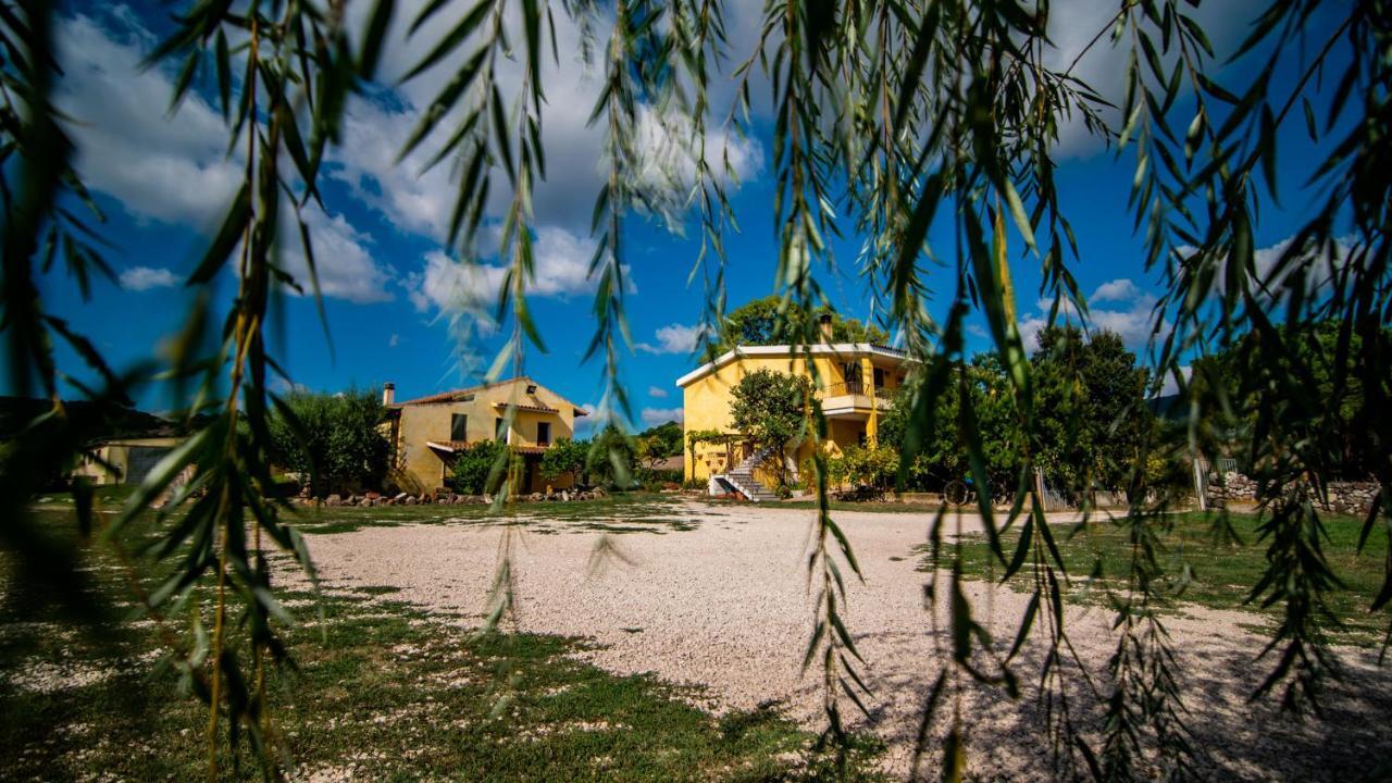 Agriturismo Carrucana Martis Dış mekan fotoğraf