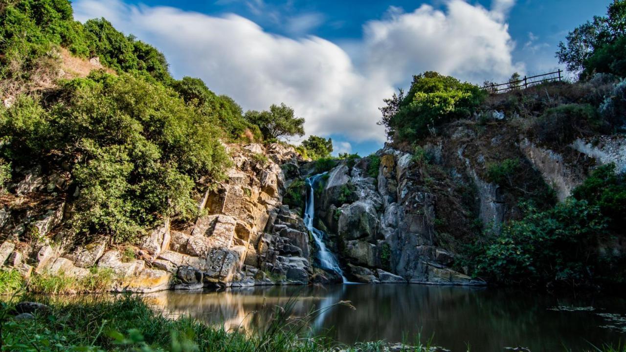 Agriturismo Carrucana Martis Dış mekan fotoğraf